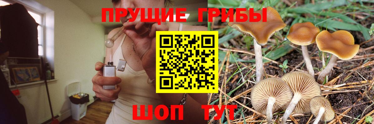 Псилоцибиновые грибы MAGIC MUSHROOMS Надым